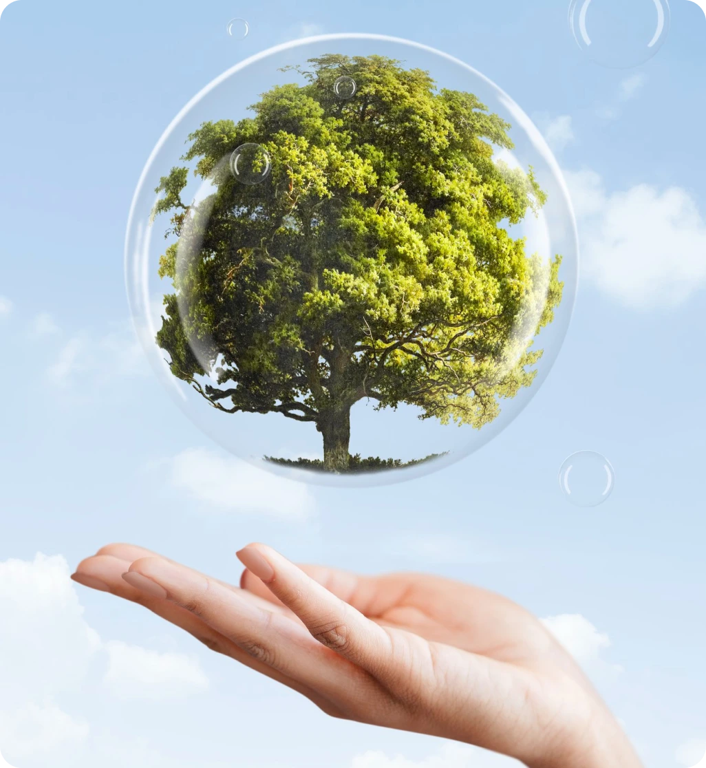 energitic - Pourquoi Dadycar ? - Avantages et Fonctionnalités